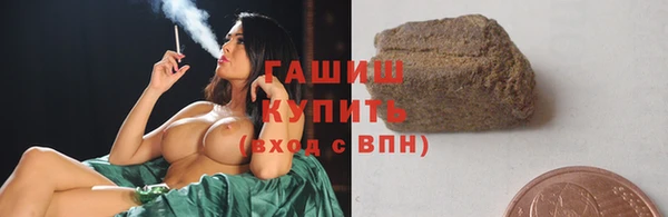 мдпв Богородицк