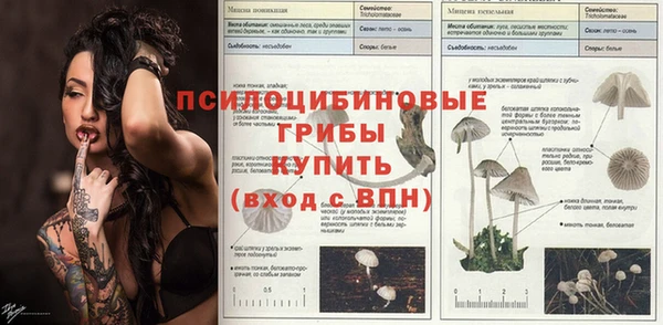 MDMA Premium VHQ Богданович