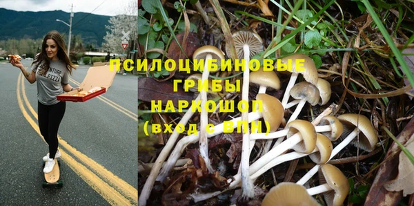 mdpv Богородск