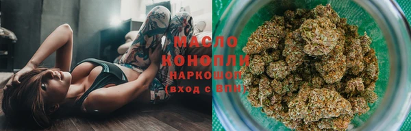 мдпв Богородицк