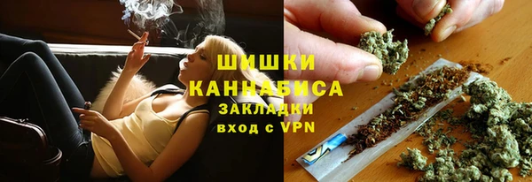 mdpv Богородск